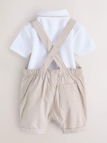 Baker by Ted Baker Komplet | siva barva