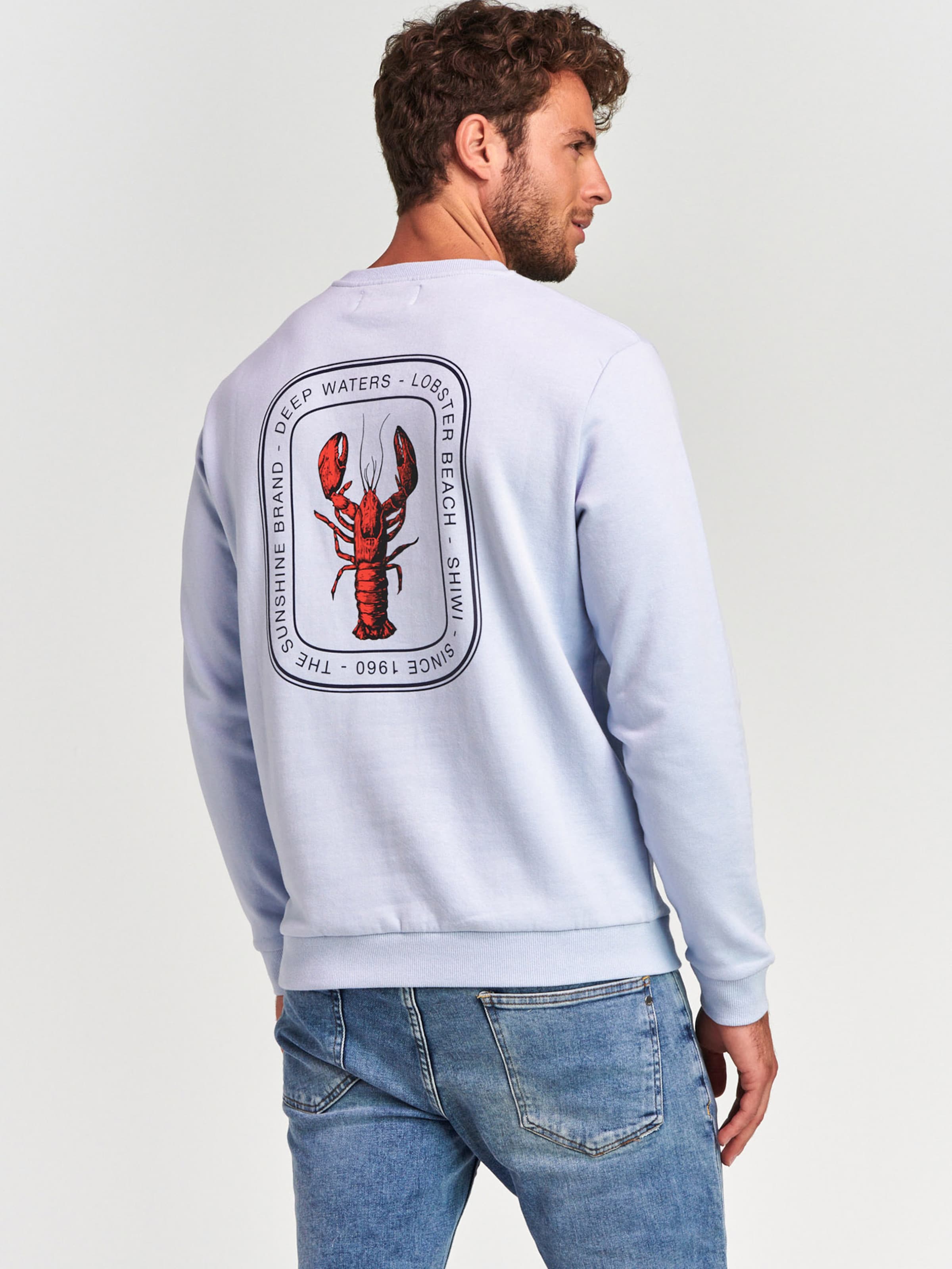 Vêtements Sweat-shirt Lobster Shiwi en Bleu Clair 
