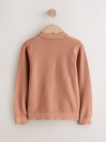 Pullover di Next in marrone