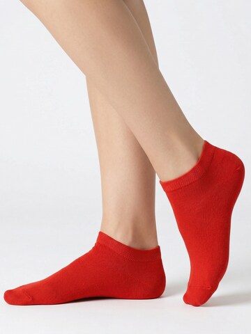 footstar Ankle Socks 'EVERYDAY!' in Red