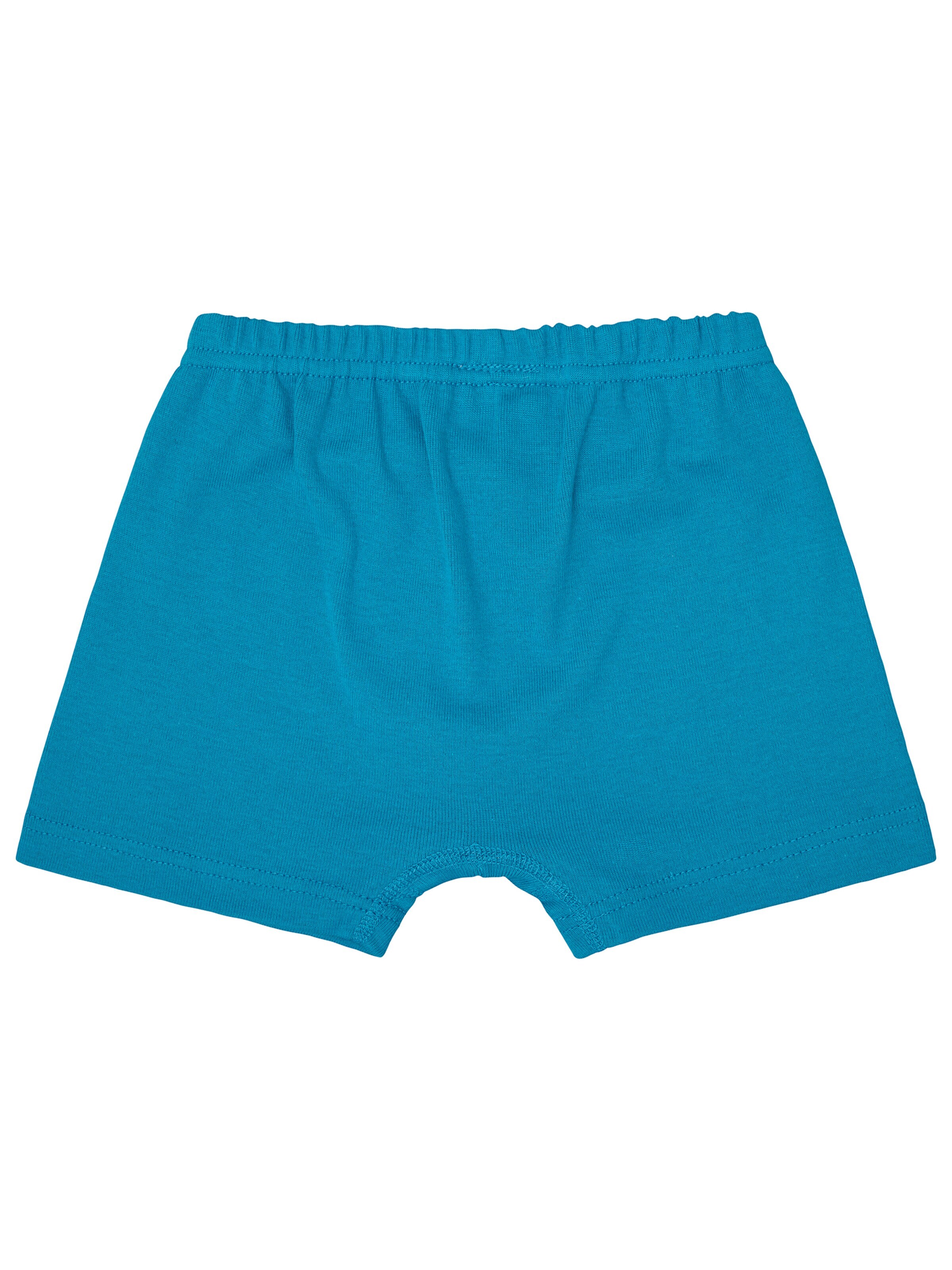 loud + proud Underpants in Green