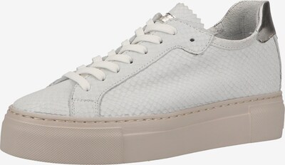 MAHONY Sneaker in silber / weiß, Produktansicht