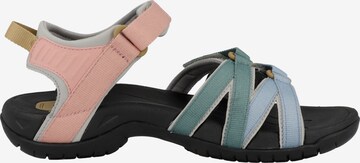 TEVA Hiking Sandals 'Tirra' in Mixed colors