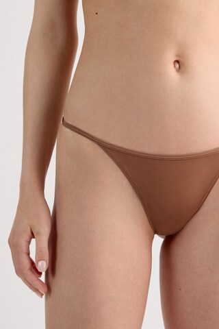 INTIMISSIMI Thong in Beige
