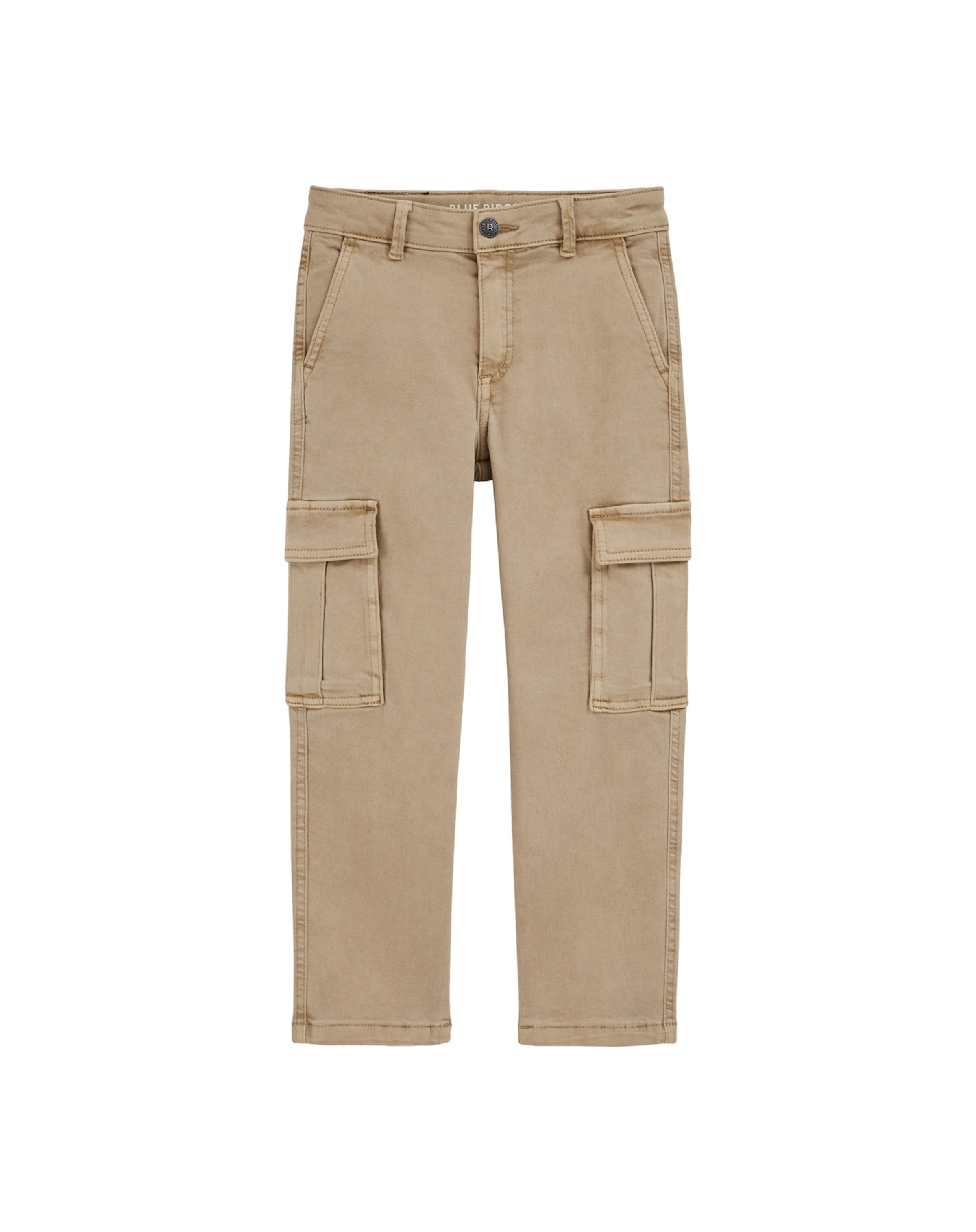 WE Fashion Regularen Hlače | rjava barva: sprednja stran