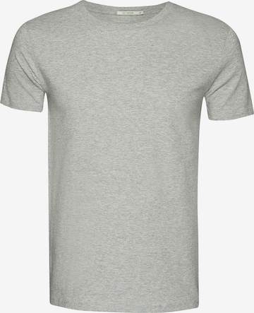 Maglietta di GREENBOMB in grigio: frontale