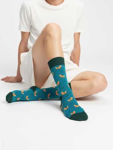 The Arctic Bay Socken 'DISCOVERY PACK EDITION 7 Unisex'‌‌‌‌‌ in Mischfarben