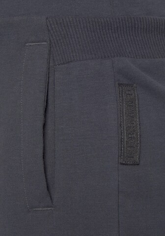 Elbsand Tapered Hose in Grau