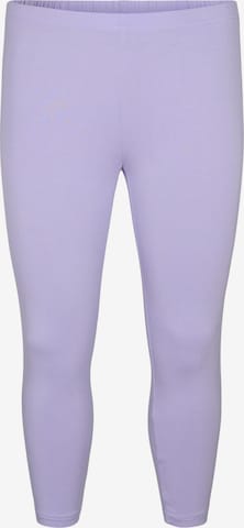 Zizzi Leggings in Purple: front