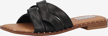 STEVE MADDEN Mules in Black: front