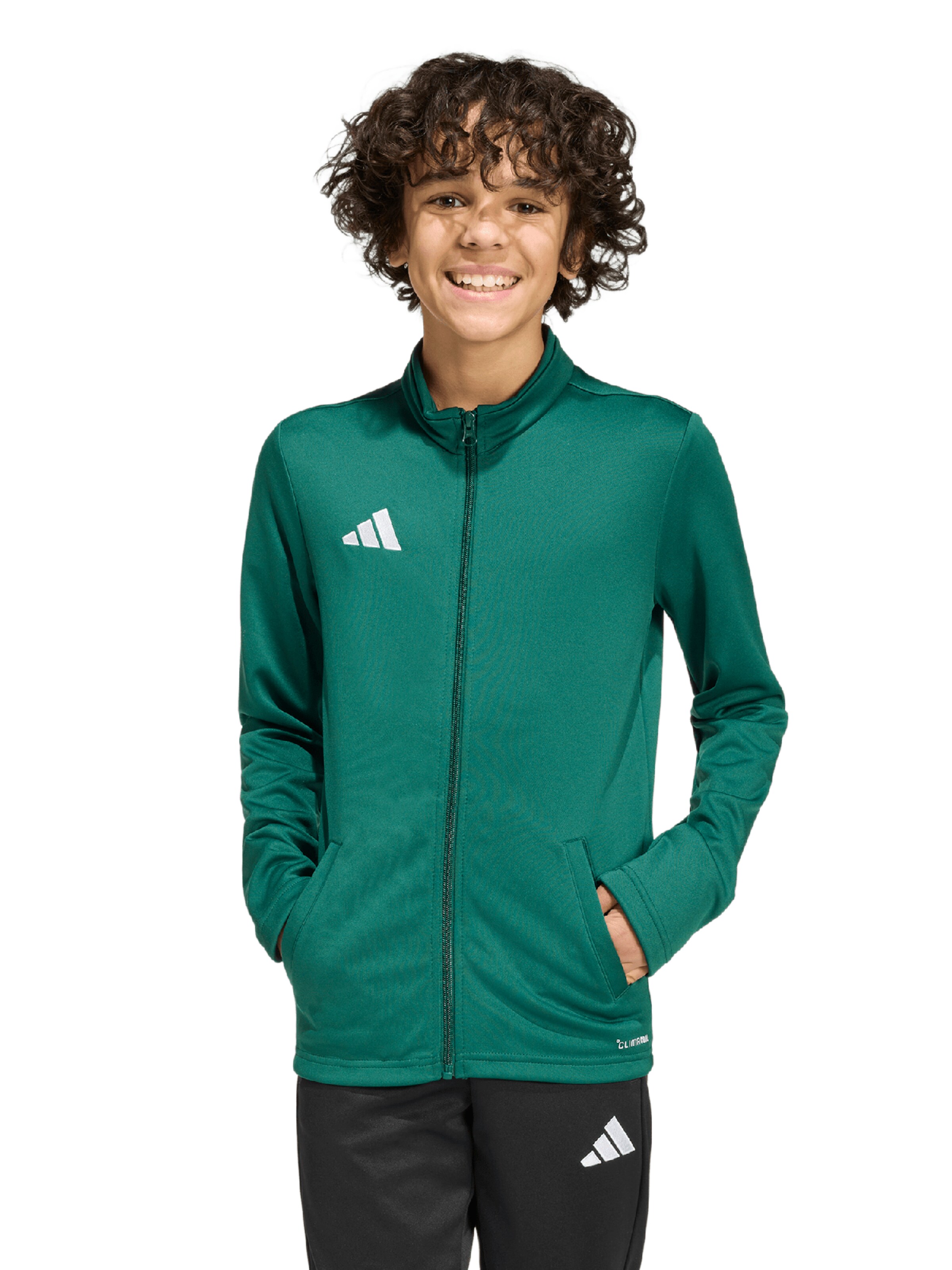 ADIDAS PERFORMANCE Sportssweatjakke 'ENT26' i grøn: forside