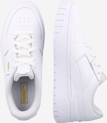 Baskets basses 'Cali Dream' PUMA en blanc