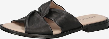 CAPRICE Mules in Black: front