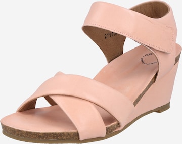 Ca'Shott - Sandalias con hebilla en rosa: frente