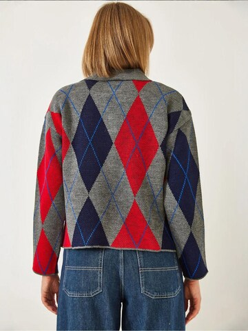Bianco LucciPulover 'Pullover' - miks boja boja