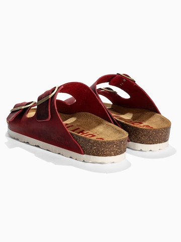 Zoccoletto 'Atlas' di Bayton in rosso