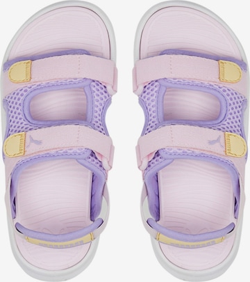 purpurinė PUMA Sandalai / maudymosi batai 'Evolve'