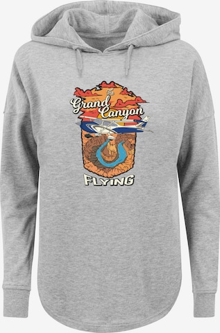 F4NT4STIC Sweatshirt 'Grand Canyon Flying' in Grau: predná strana