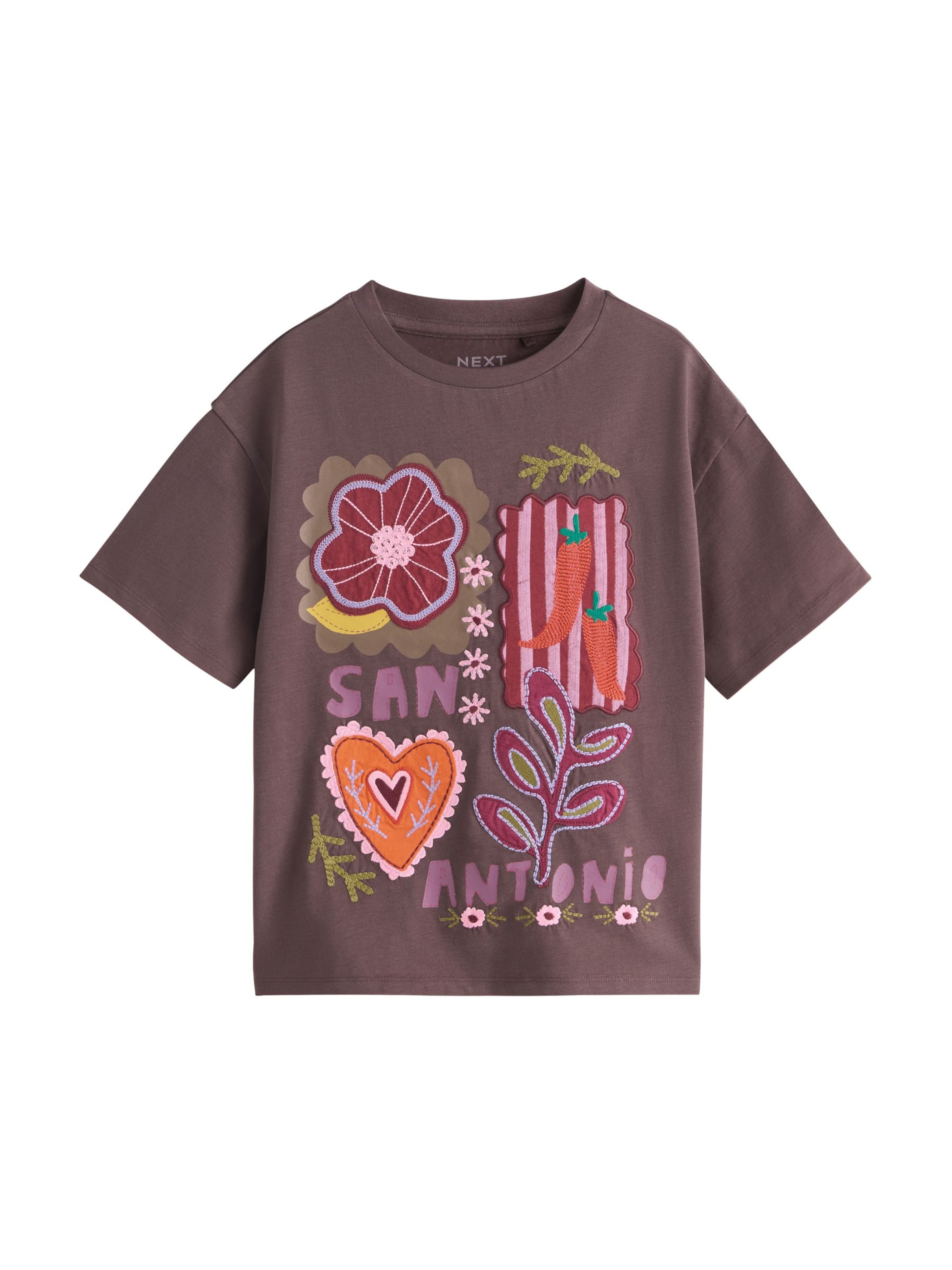 T-Shirt Next en marron : devant