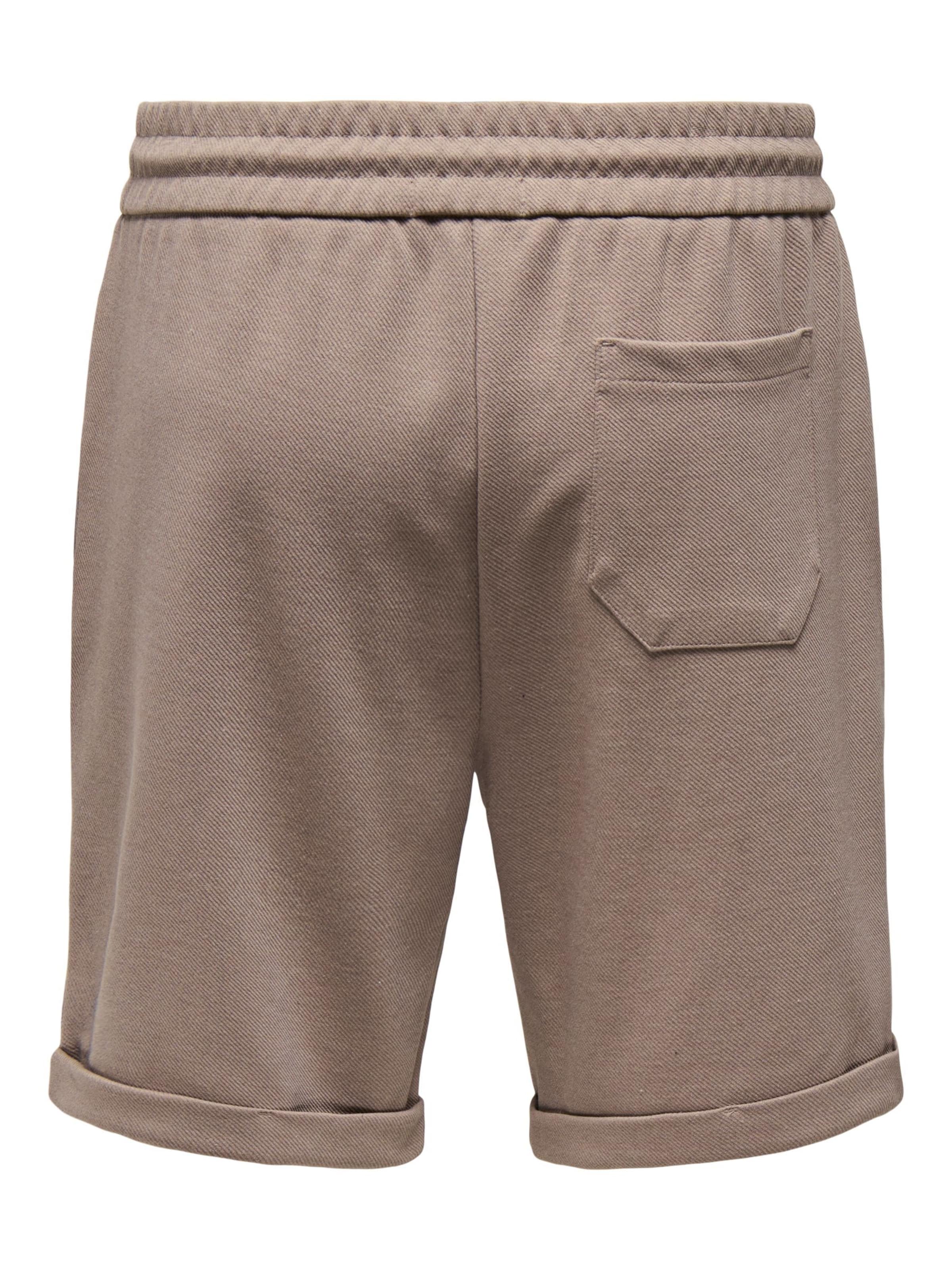 Only & Sons Regular Trousers 'ONSNewkodyl' in Brown