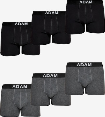 Adam Boxer shorts '6er Pack' in Grey: front