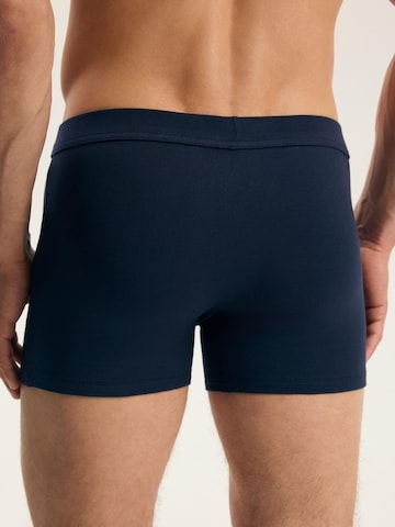 Boxer 'FARO' di Henderson in colori misti