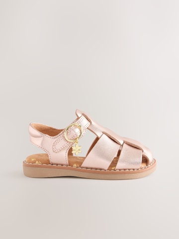 Next Sandalen in Roze
