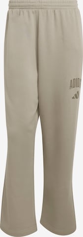 ADIDAS SPORTSWEAR Sportsbukser 'COLLEGIATE' i grå: forside