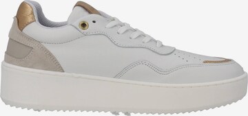 Palado Athletic Lace-Up Shoes in White