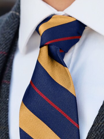 Trendhim Tie 'Somerset' in Blue