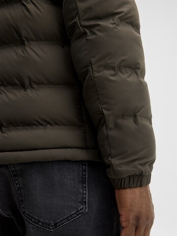 STRELLSON Winterjas in Groen