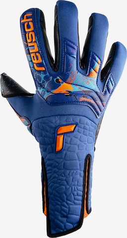 REUSCH Athletic Gloves in Blue