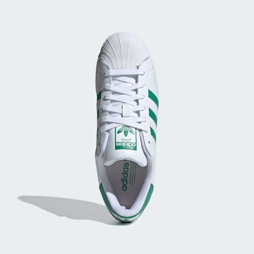 Baskets basses ' Superstar ' ADIDAS ORIGINALS en blanc