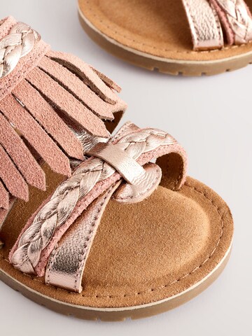 Next Sandal in Brown