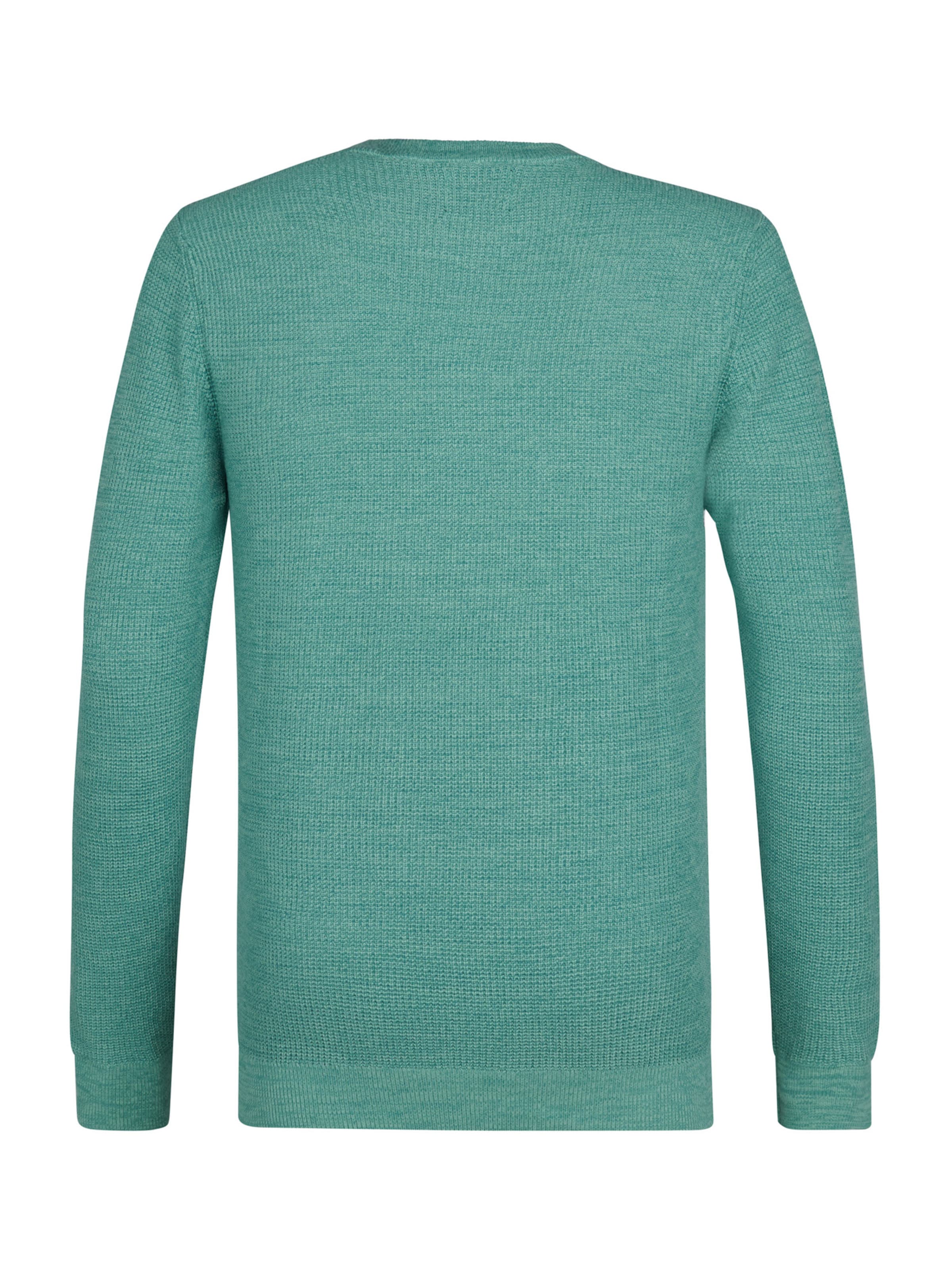 Petrol Industries Trui in Blauw