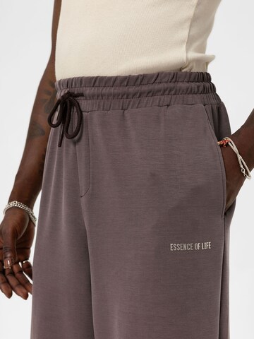 Loosefit Pantaloni 'Japanese Anemone' di VAMOS CLO in marrone
