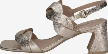 CAPRICE Sandalen met riem in Goud