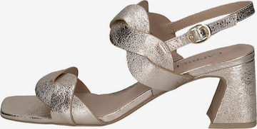 CAPRICE Strap Sandals in Gold