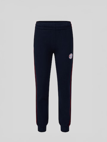 FC BAYERN MÜNCHEN Regular Pants in Blue: front