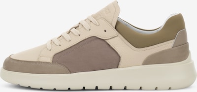 Boggi Milano Niske tenisice 'Nimbus' u svijetlobež / smeđa, Pregled proizvoda