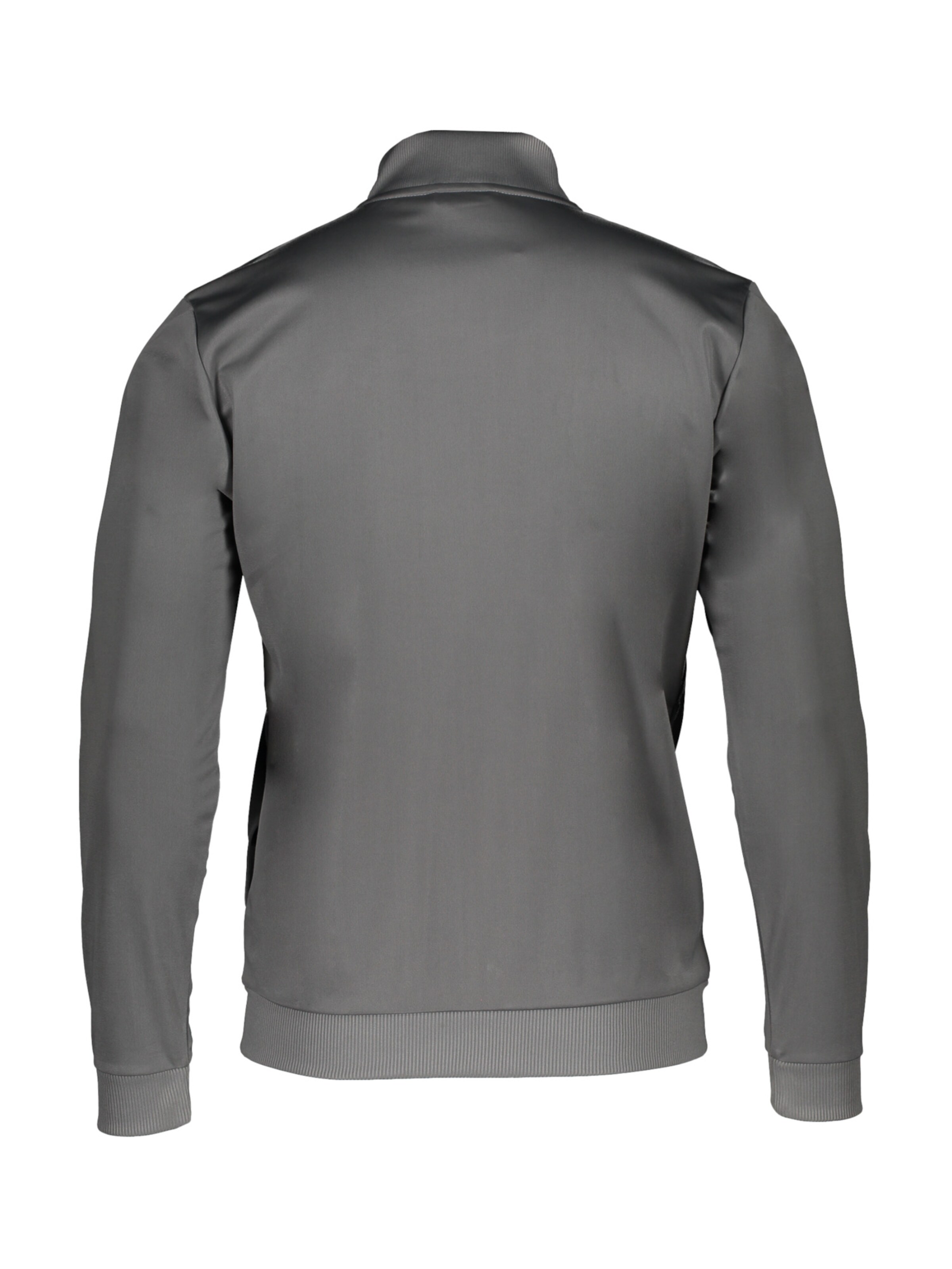 PUMA Sportsweatjacke 'Team Goal' in Grau