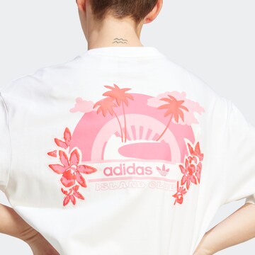ADIDAS ORIGINALS Shirt 'Island Club Graphic' in Wit