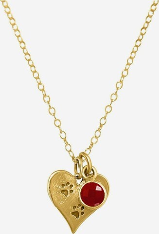 Gemshine Necklace 'Herz Pfotenabdruck' in Gold: front