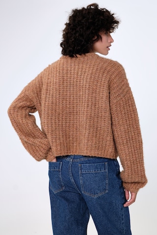 Aligne Sweater 'Guan' in Brown