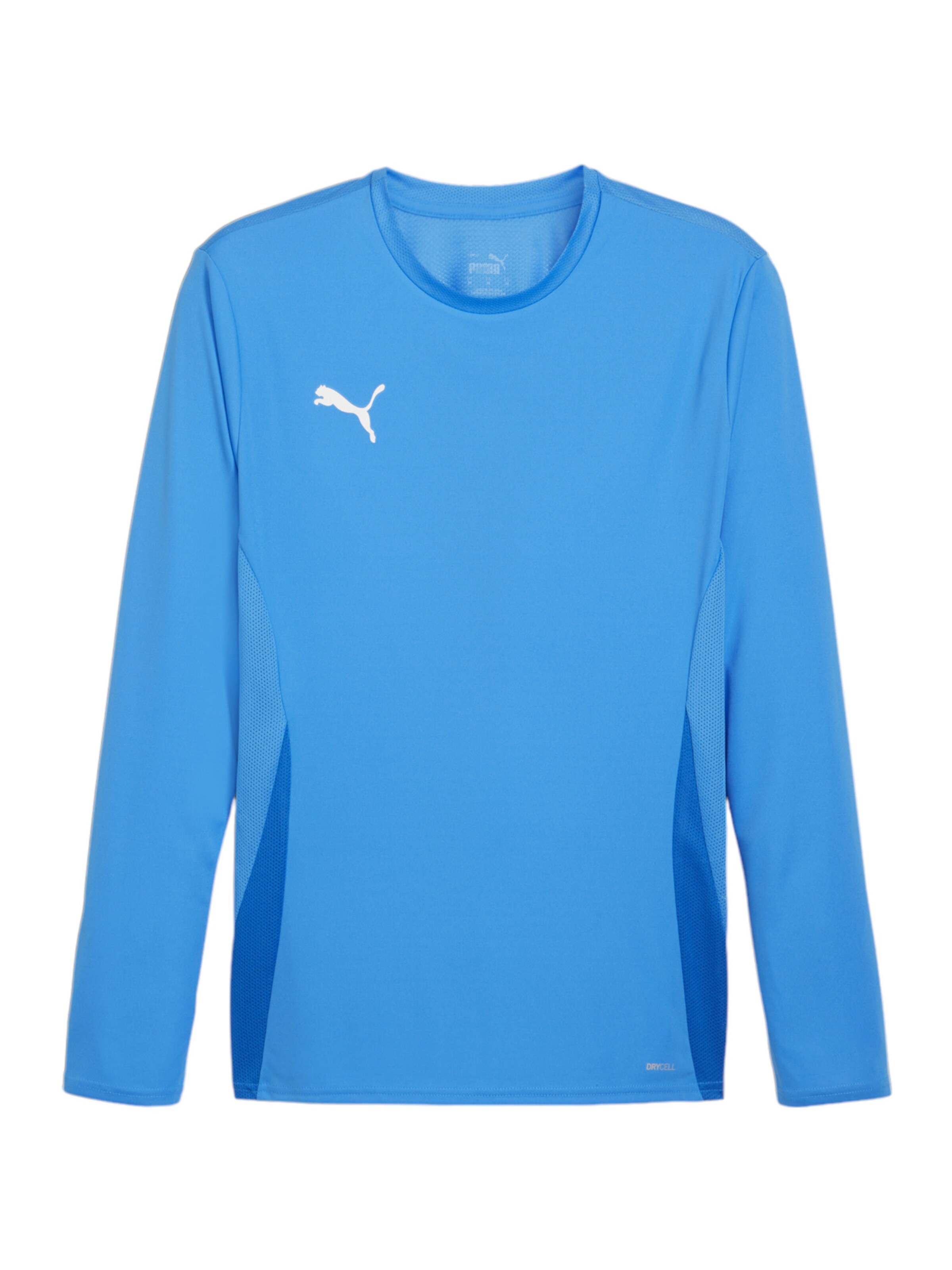 PUMA Funktionsshirt 'TeamGoal' in Blau: Vorderseite