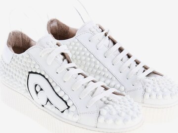 ABSINTHE CULTURE Lowtop Sneakers in 41 in White: front