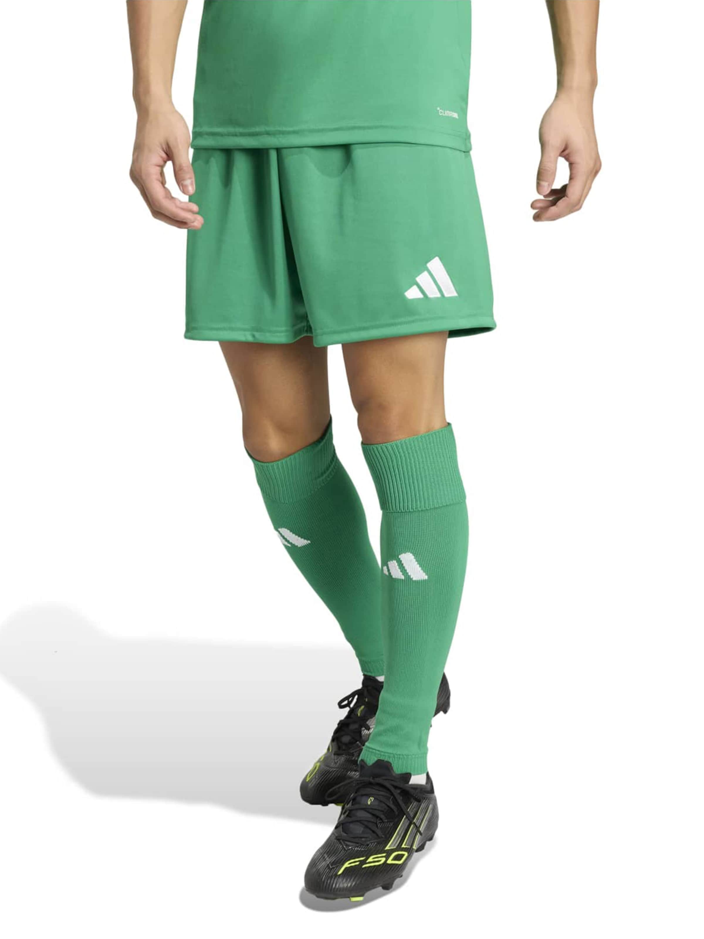 ADIDAS PERFORMANCE regular Παντελόνι φόρμας 'ENT26' σε πράσινο: μπροστά