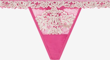 INTIMISSIMI Thong in Pink: front