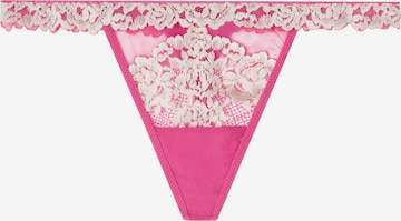 INTIMISSIMI String in Pink: Vorderseite