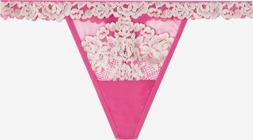 INTIMISSIMI Thong in Pink: front